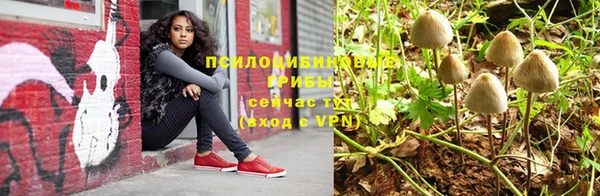тгк Алексеевка