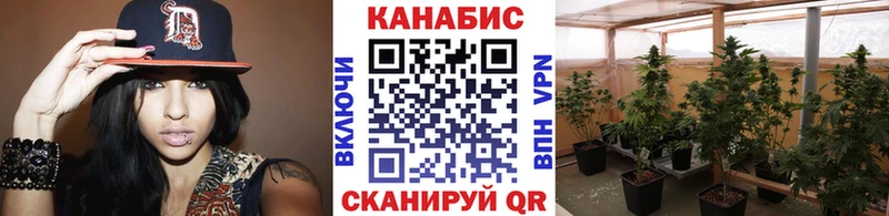 наркота Курск Канабис гибрид